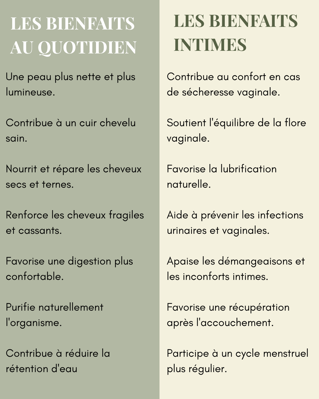 Khamaré Racines de vétiver
